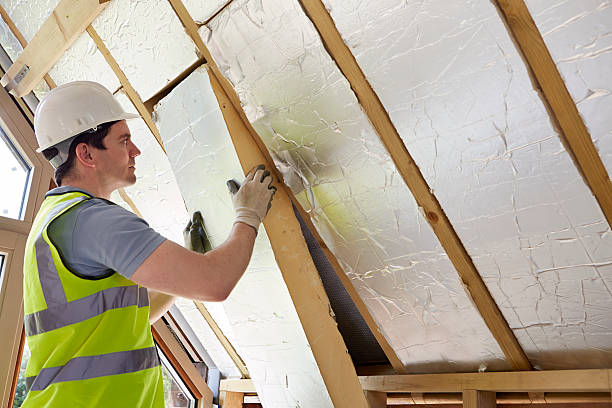 Best Eco-Friendly Insulation in North Hobbs, NM